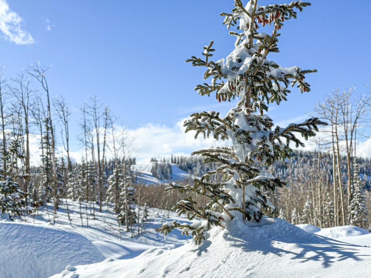 Eagle Roost Retreat By Ski Lifts Brian Head Exterior photo
